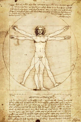 AP104 Da Vinci - Vitruvian Man, 24 x 36