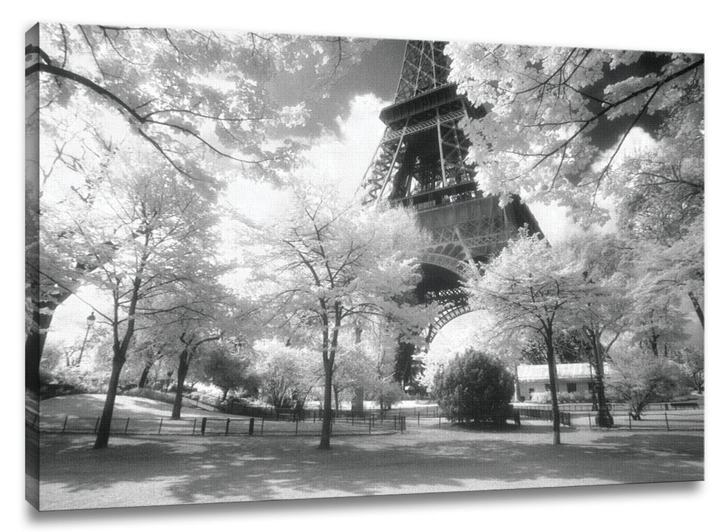 CNV218 - Afternoon in Paris, 24 x 36