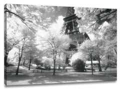 CNV218 - Afternoon in Paris, 24 x 36