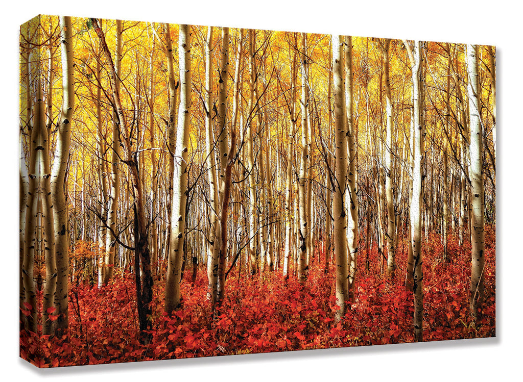 CNV235 Aspen Grove Red 24x36