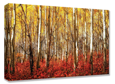 CNV235 Aspen Grove Red 24x36
