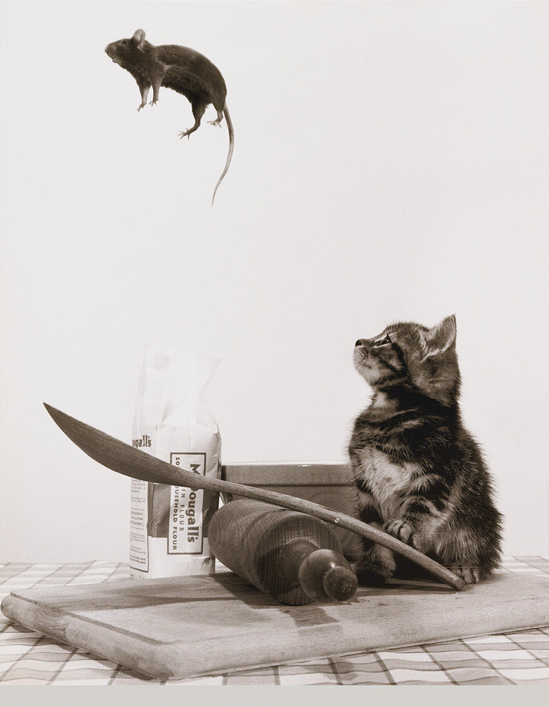 MP748 Dont play with your food 16in x 20in