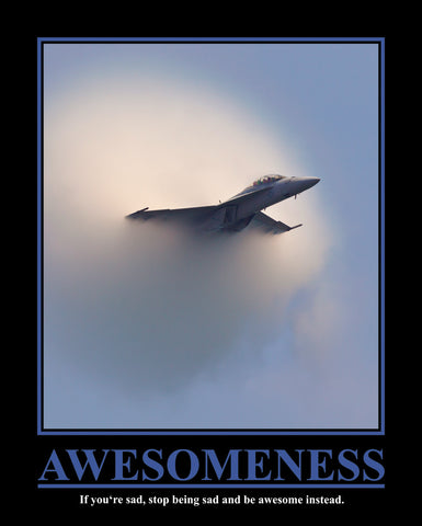 MP779 Awesomeness 16in x 20in