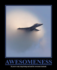 MP779 Awesomeness 16in x 20in