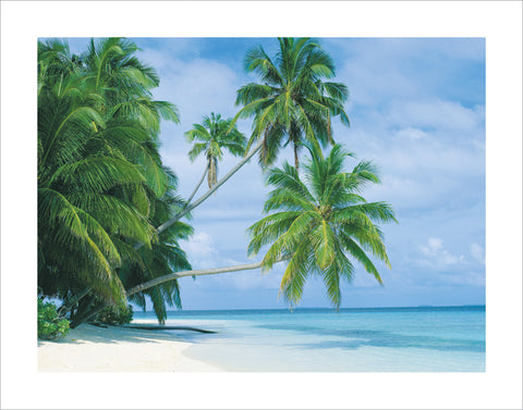 NY141 - Fihalhohi Island, 11 x 14