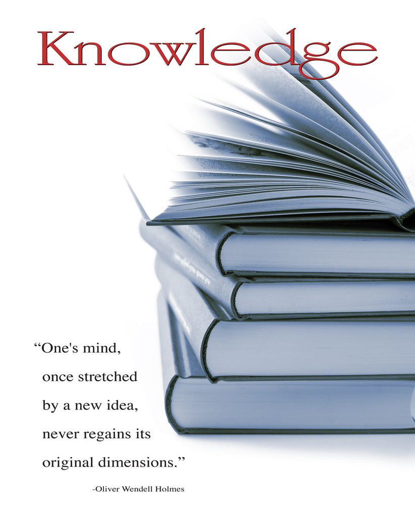 NY347 - Knowledge, 16 x 20