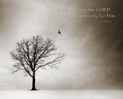 NY353 - Psalm 37-7, 16 x 20