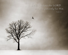 NY353 - Psalm 37-7, 16 x 20