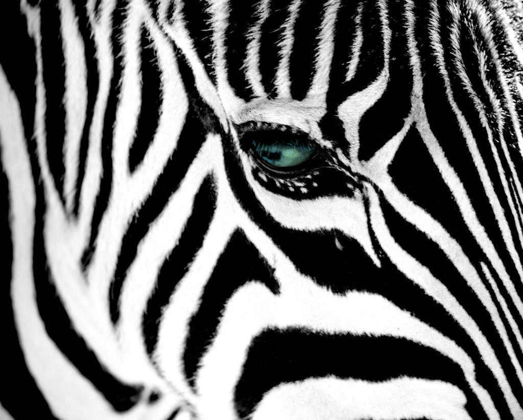 NY358 - Stripes, 16 x 20