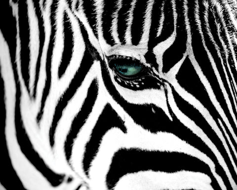 NY358 - Stripes, 16 x 20