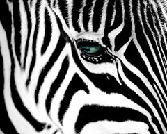 NY358 - Stripes, 16 x 20