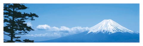 NY664 - Mount Fuji, 12 x 36