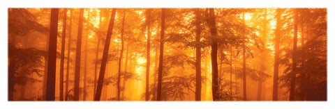 NY665 - Morning Mist, 12 x 36