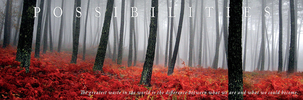 NY681 - Possibilities - Quote, 12 x 36