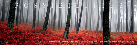 NY681 - Possibilities - Quote, 12 x 36