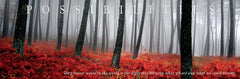 NY681 - Possibilities - Quote, 12 x 36