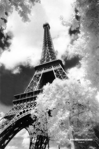 NY814 - Parc du Champ de Mars, 24 x 36