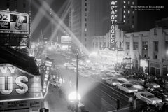 NY828 - Hollywood Boulevard, 24 x 36
