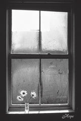 NY851 - Hope, 24 x 36