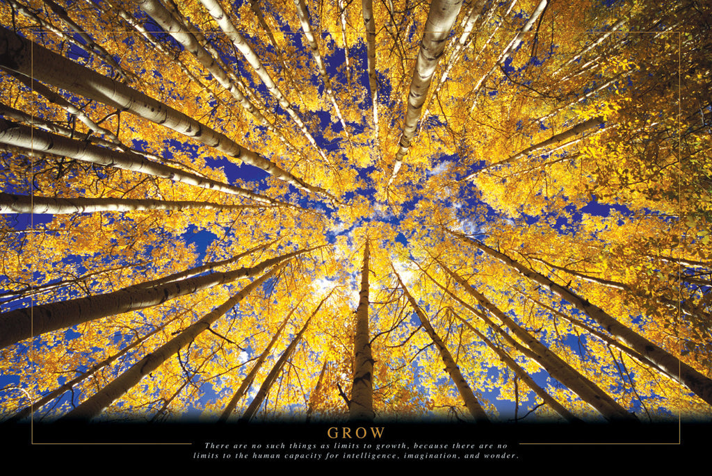 NY861 - Grow, 24 x 36