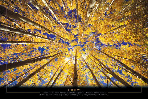 NY861 - Grow, 24 x 36