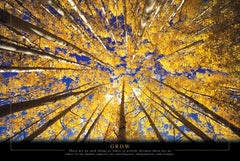 NY861 - Grow, 24 x 36